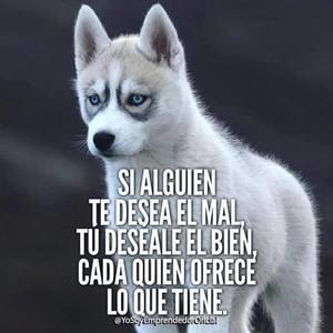 Meet your Posher, Charly